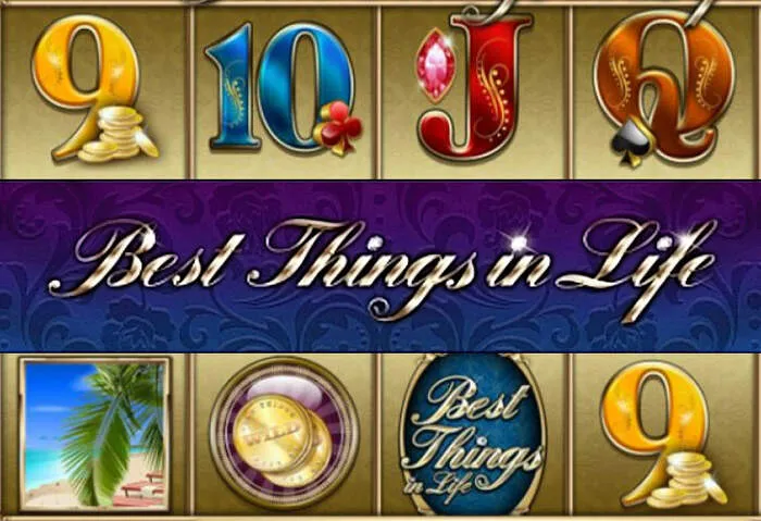 Faça o download do casino Mrpachocasinodownload Store e comece a jogar seus jogos favoritos agora mesmo.
