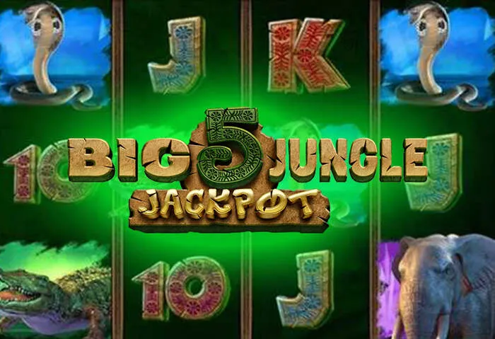 Mrpacho Casino download store for a wide selection of casino entertainment